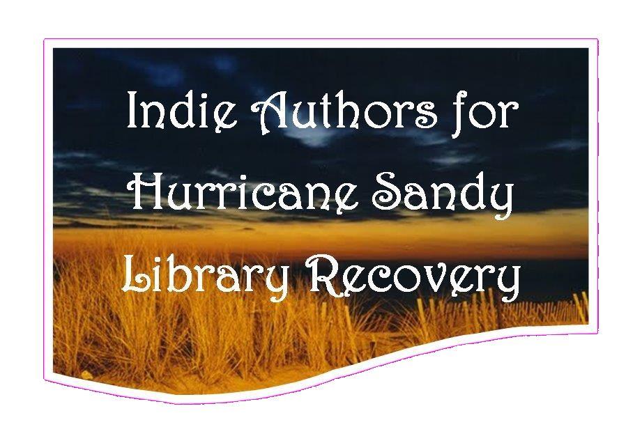 Indie Authors for Hurricane Sandy Library Recovery