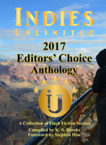 2017 IU Flash Fiction Editors Choice