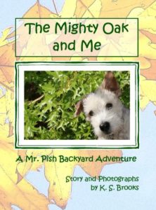 The Mighty Oak and Me children's book front cover