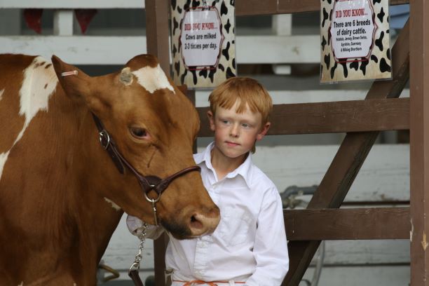 Levi Seitters at the NE Washington Fair