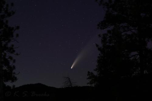 Comet Neowise 07132020