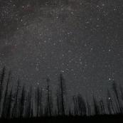 Night Sky over Stickpin Fire remnants July 2020